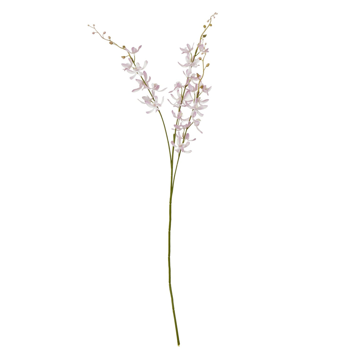 Agnes Lilac Cymbidium Spray