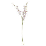 Agnes Lilac Cymbidium Spray