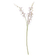 lilac cymbidium spray