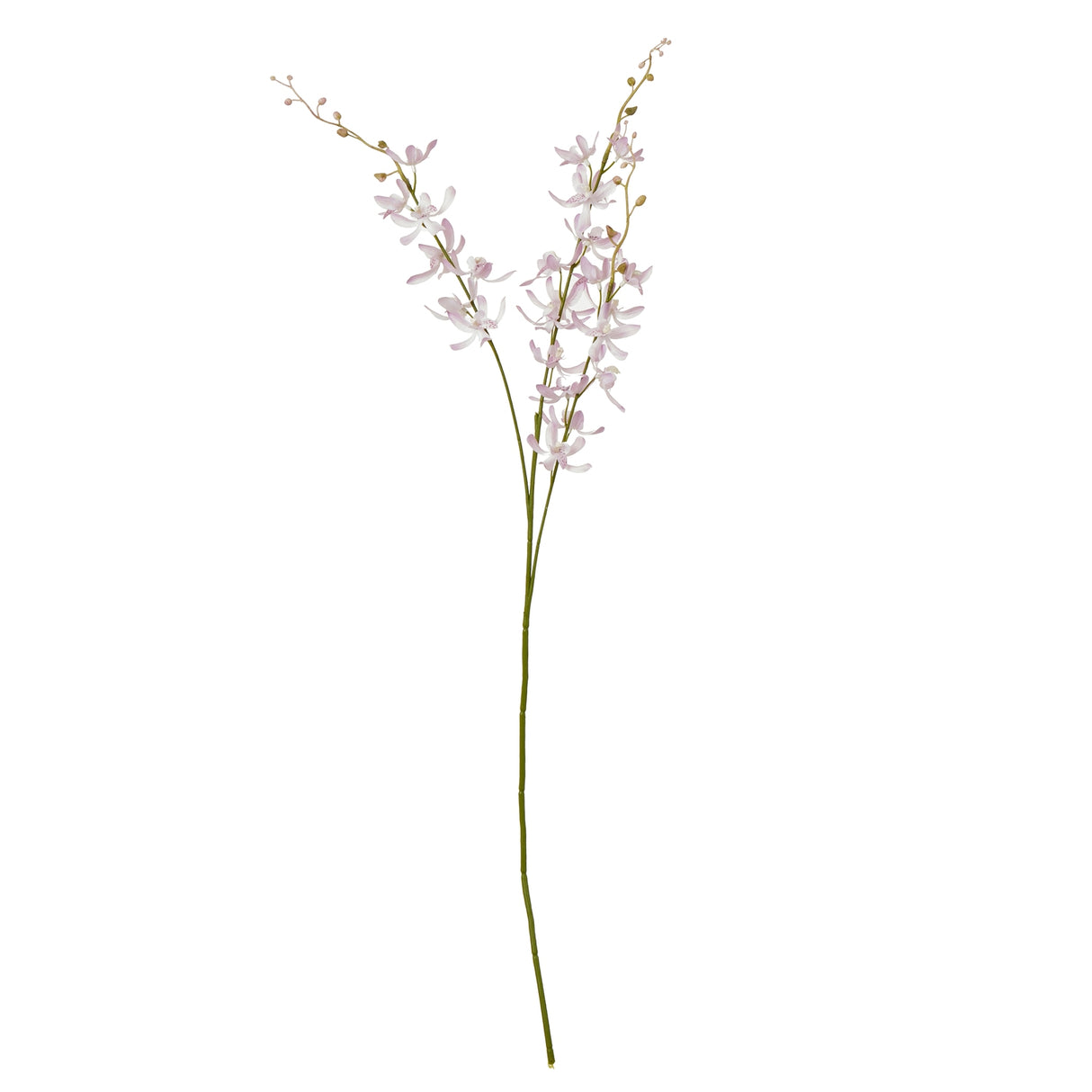 lilac cymbidium spray