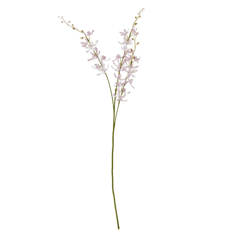 lilac cymbidium spray