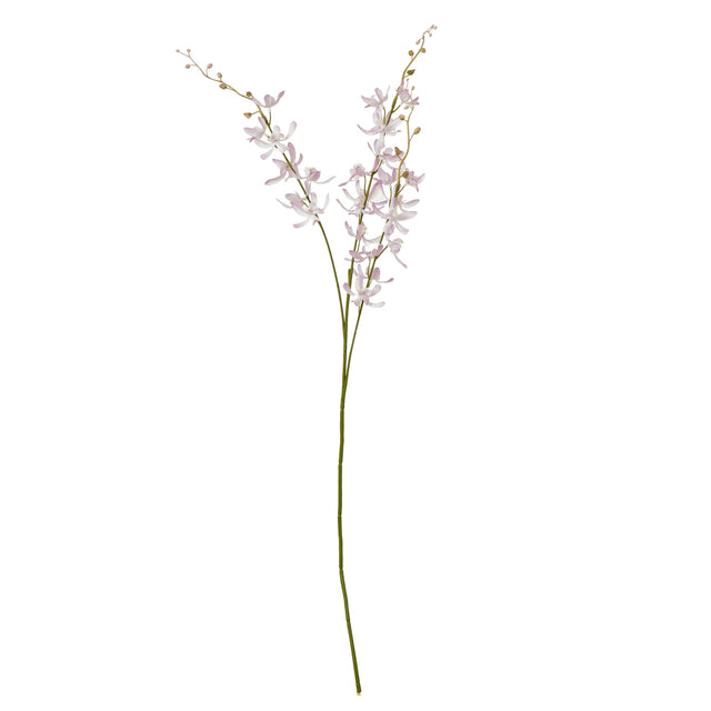 lilac cymbidium spray