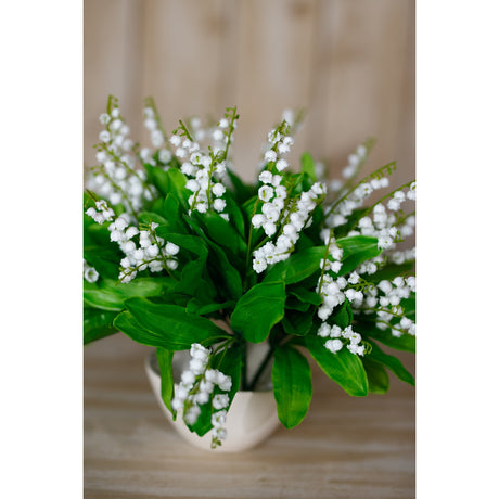 lily of the valley bunch