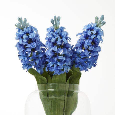 blue hyacinth stem