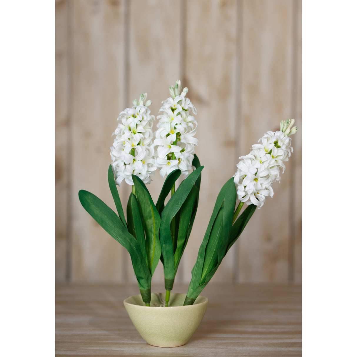 white hyacinth stem