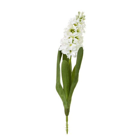 white hyacinth stem