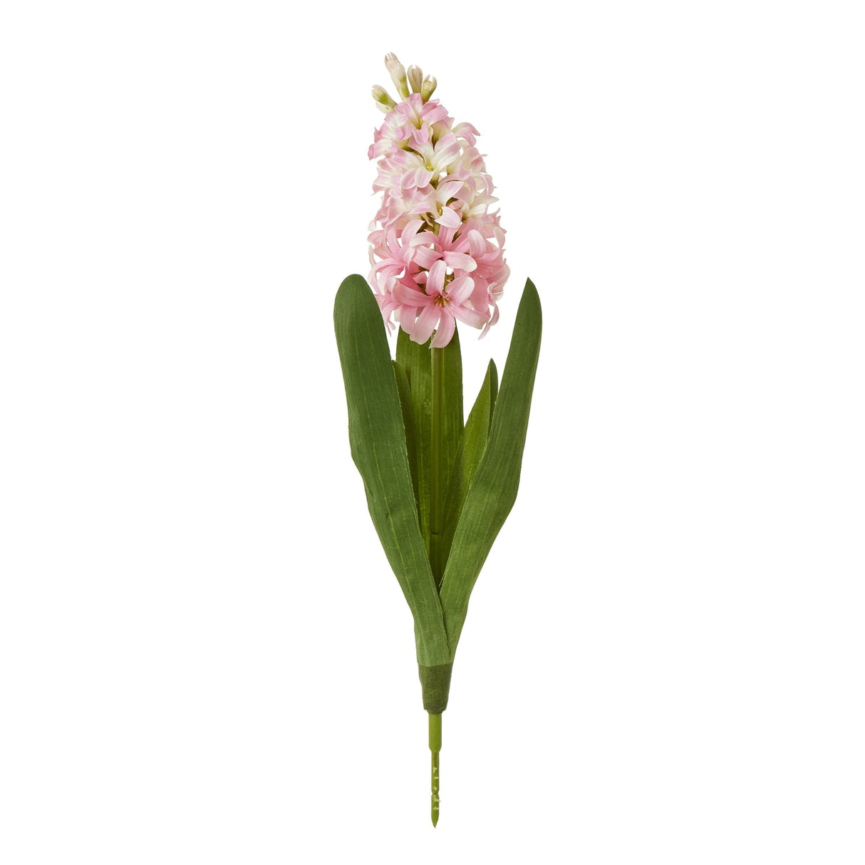 Liliane Pink Hyacinth Stem