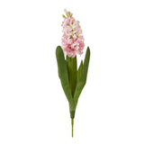 Liliane Pink Hyacinth Stem