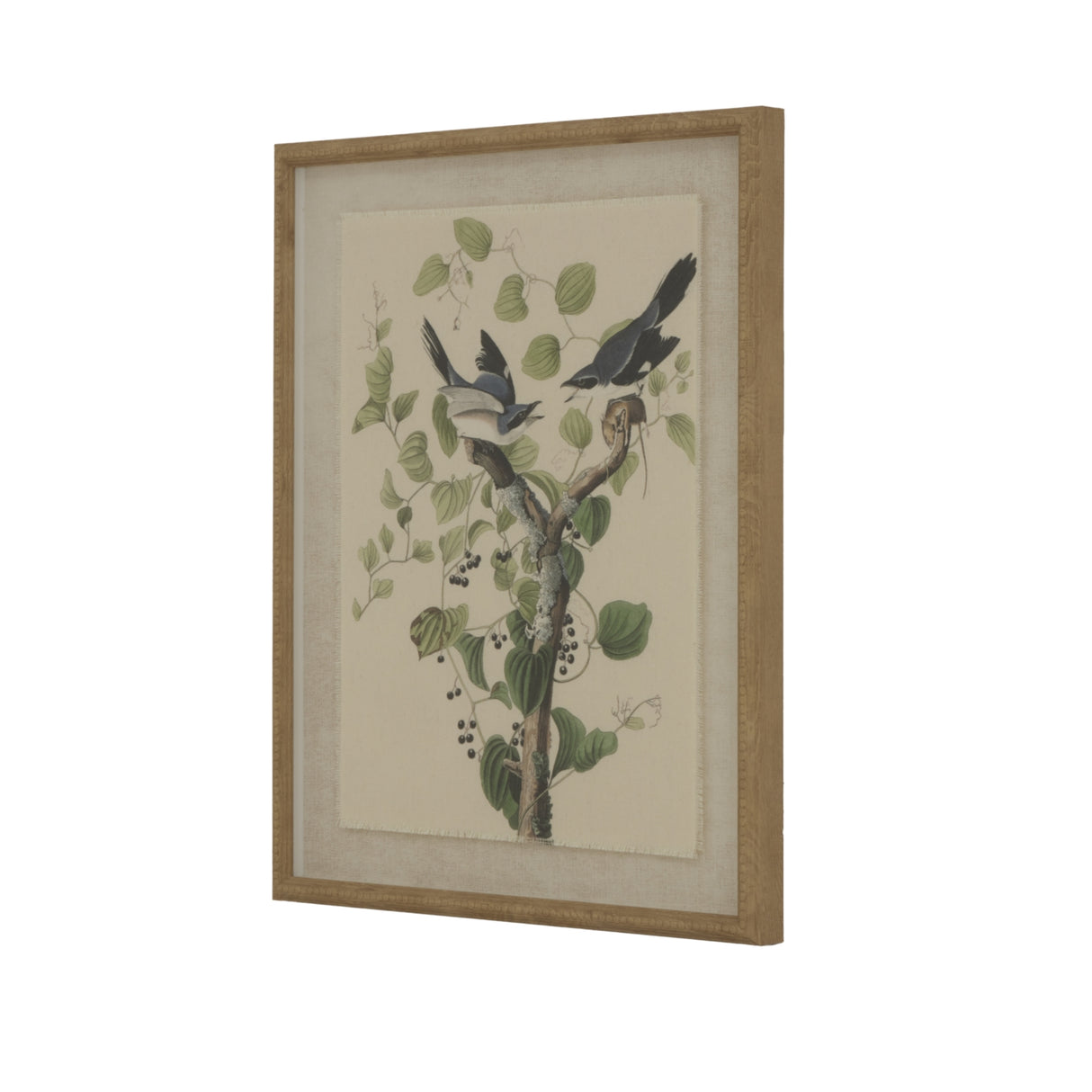 Aliénor Collection Shrikes On Linen In Beaded Frame