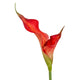Florist