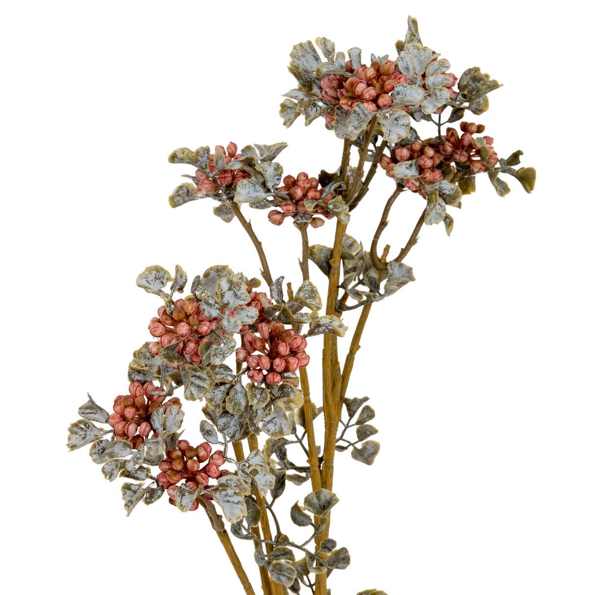 Delphine Berry Spray