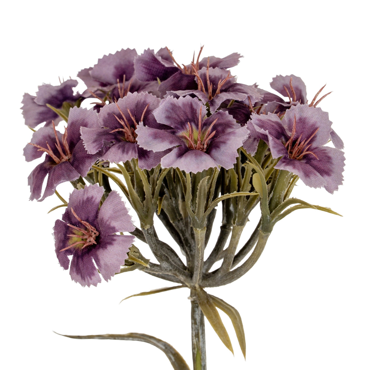 Colette Purple Dianthus Spray