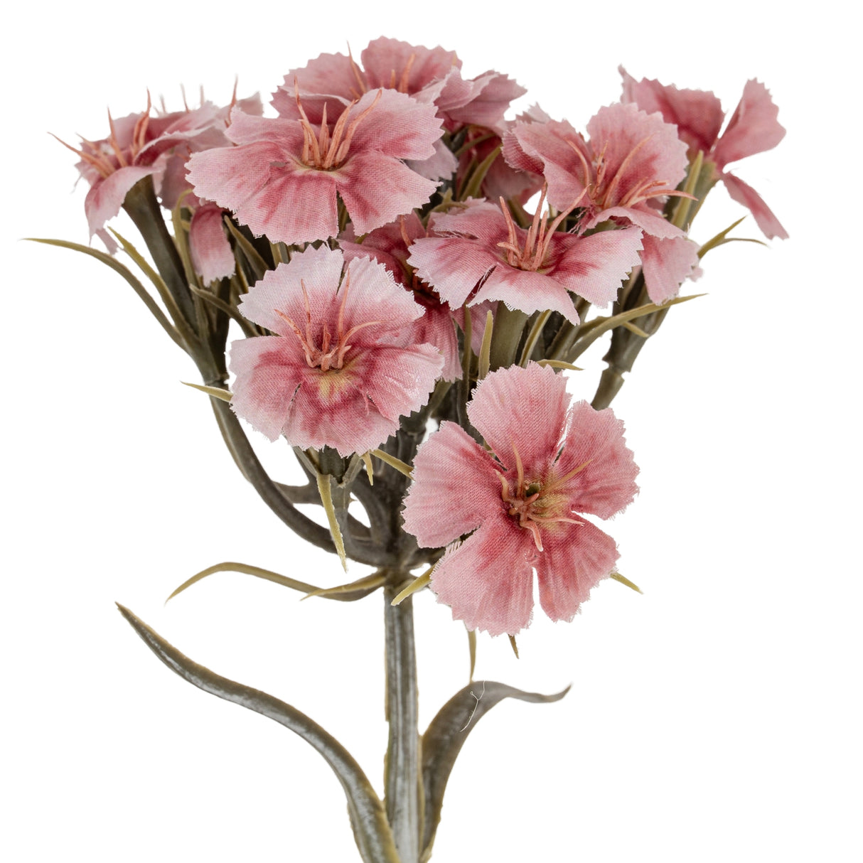 Aimee Pink Dianthus Spray