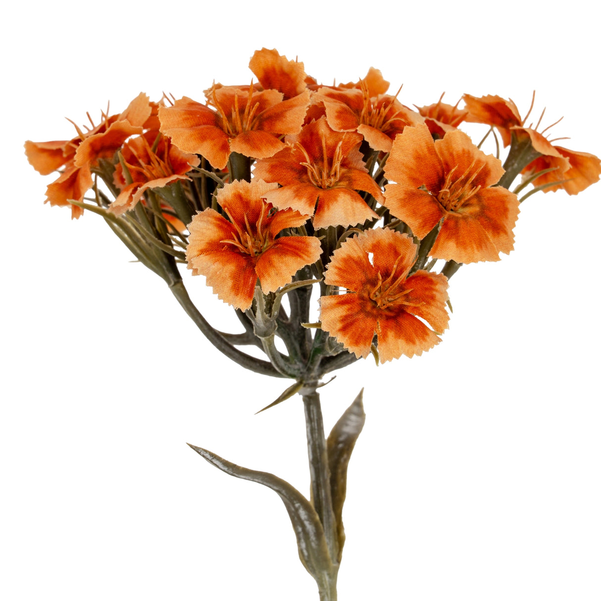 Mireille Orange Dianthus Spray