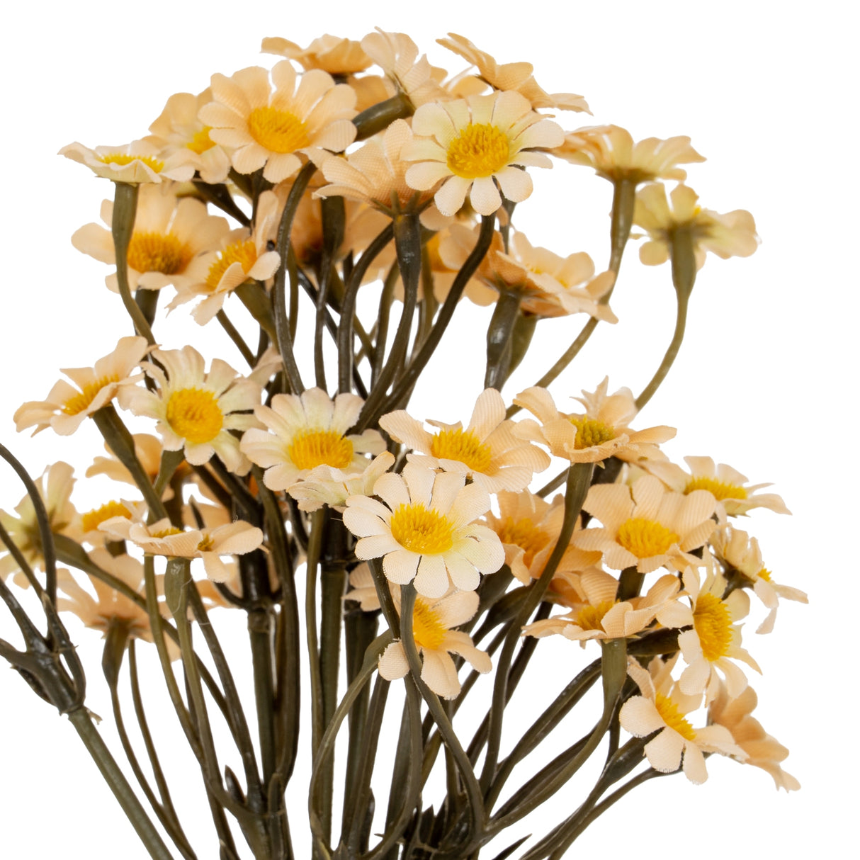 Margot Cream Daisy Bunch