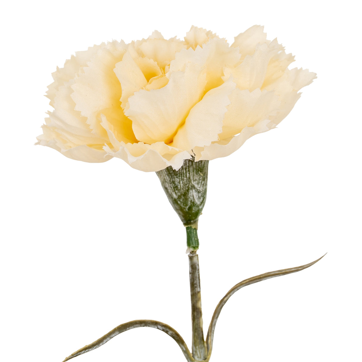 Elise Cream Carnation Stem