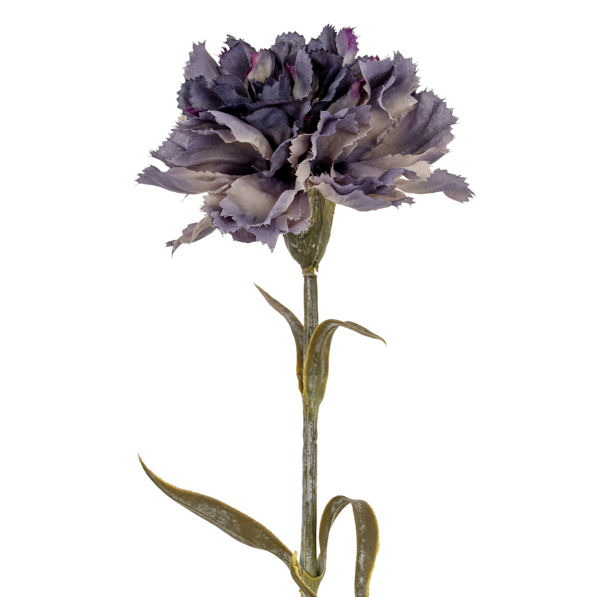 Ana•s Purple Carnation Stem