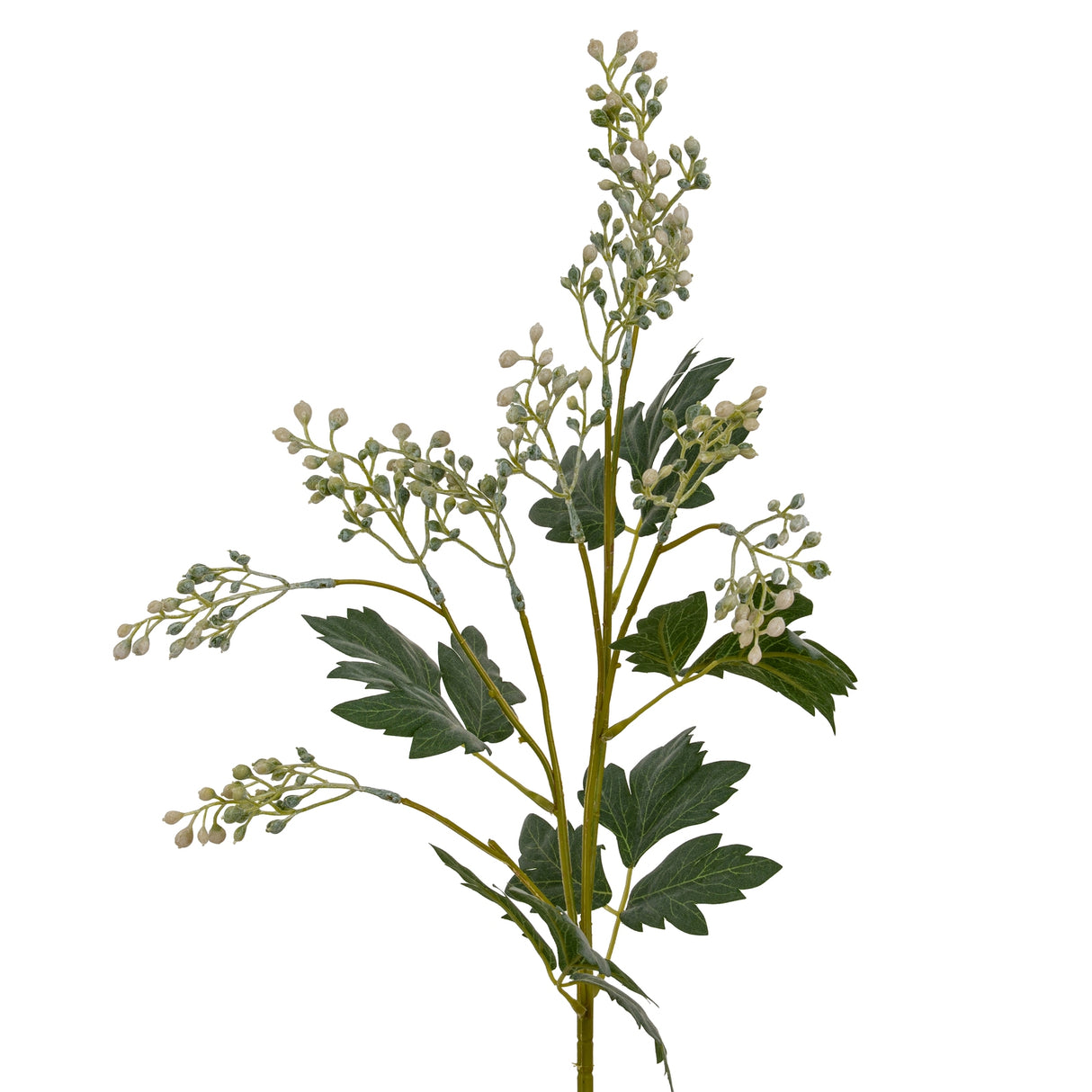 Daphne White African Marigold Large Spray