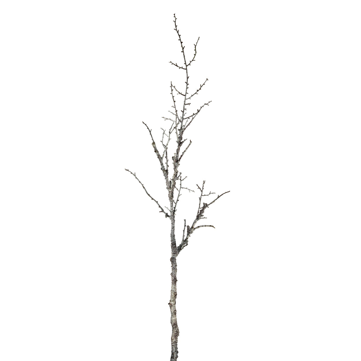 Amelie Snowy Winter Woodland Branch