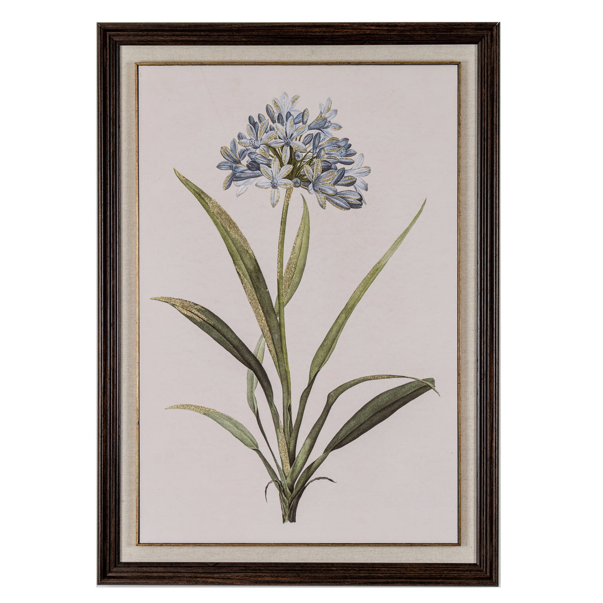 Fleur Blue Wildflower In Frame
