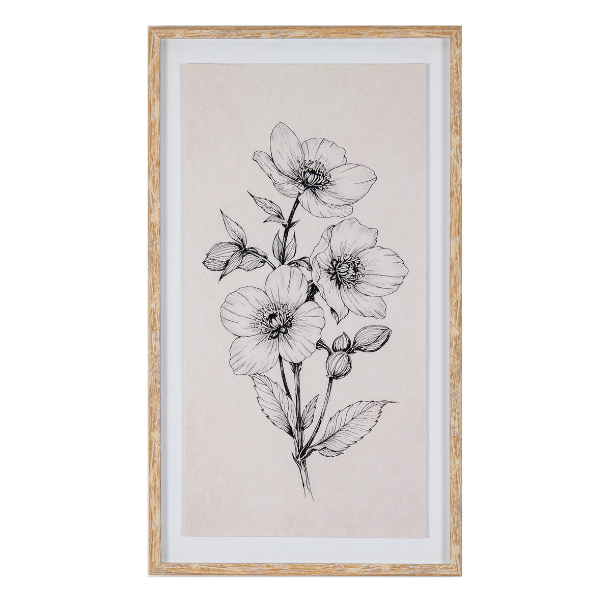 Apolline Sketchbook Hellebore In Frame