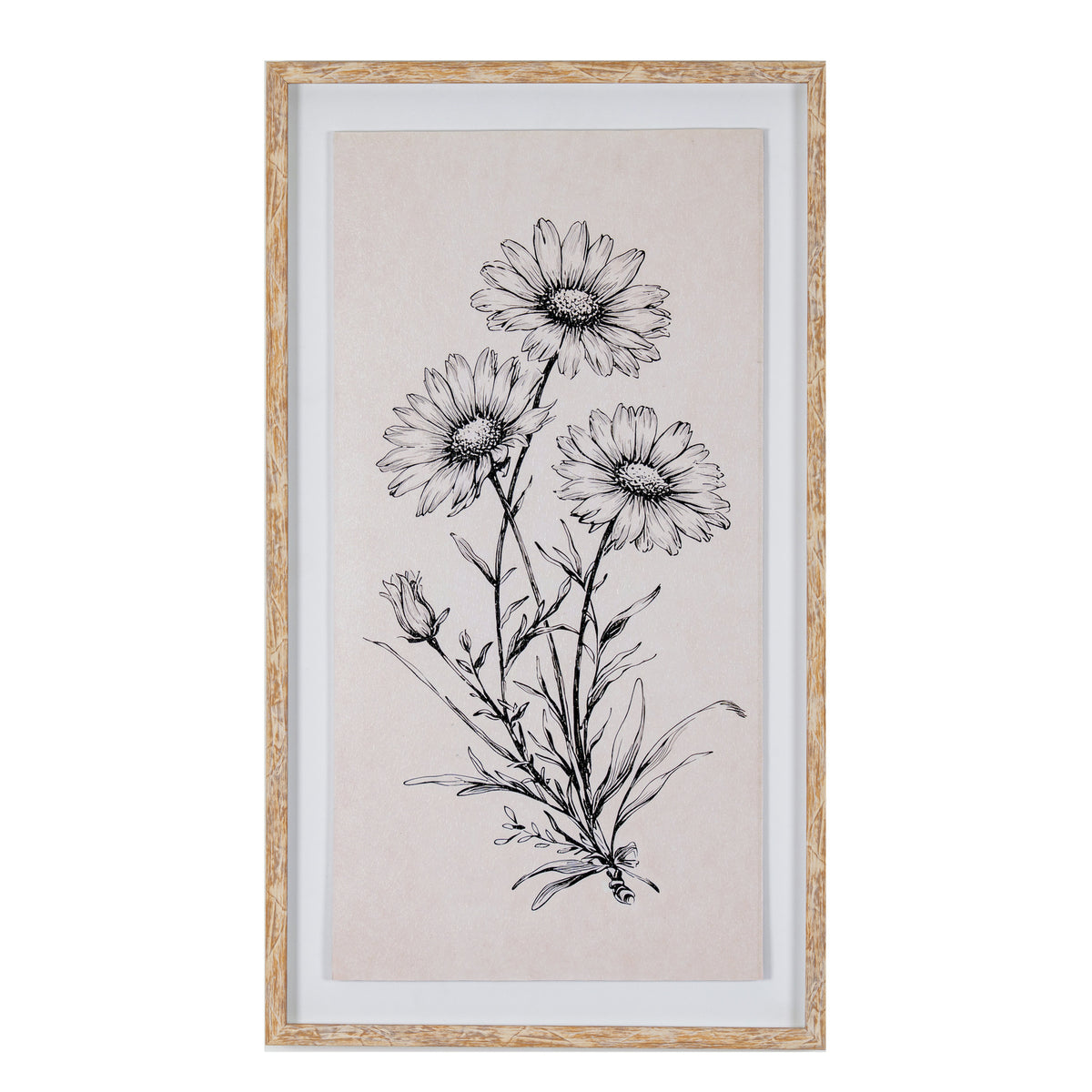 Apolline Sketchbook Daisies In Frame