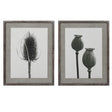 Aurore Set of 2 Poppy and Teasel Prints