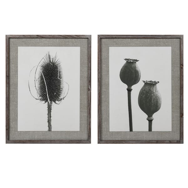 Aurore Set of 2 Poppy and Teasel Prints