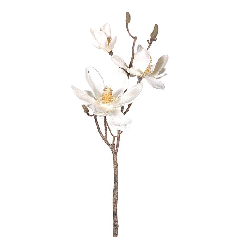 Suzanne Cream Magnolia Branch