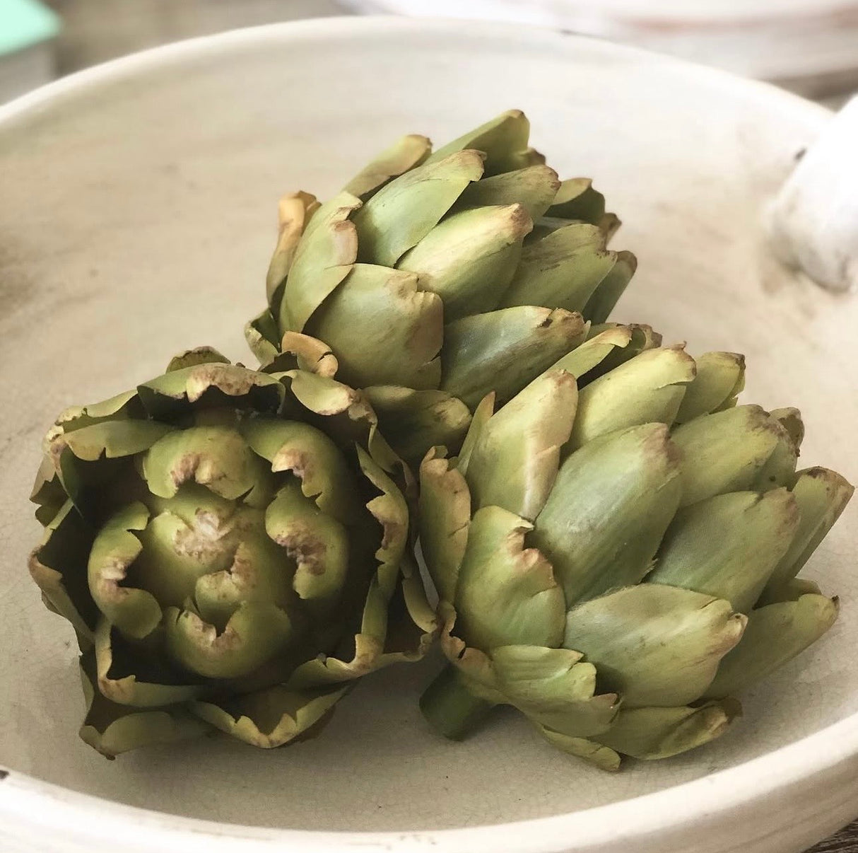 Juliette Green Artichoke