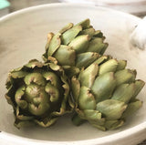 Juliette Green Artichoke