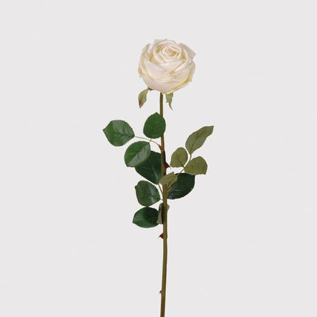 Anais White Rose Vienna with Leaves