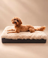 Marianne Sheepskin Long Wool Pet Bed