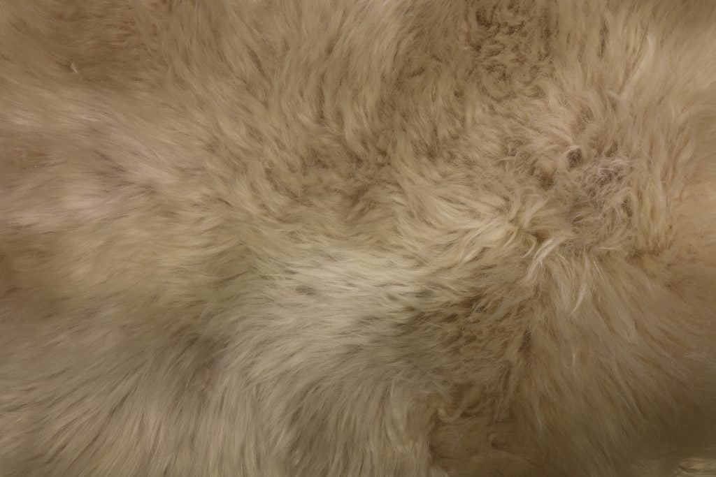 Aurelie Sheepskin Cushion in Oyster