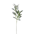 Ninon Natural Flocked Lamb's Ear Leaf Spray