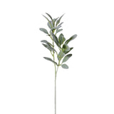 Ninon Natural Flocked Lamb's Ear Leaf Spray