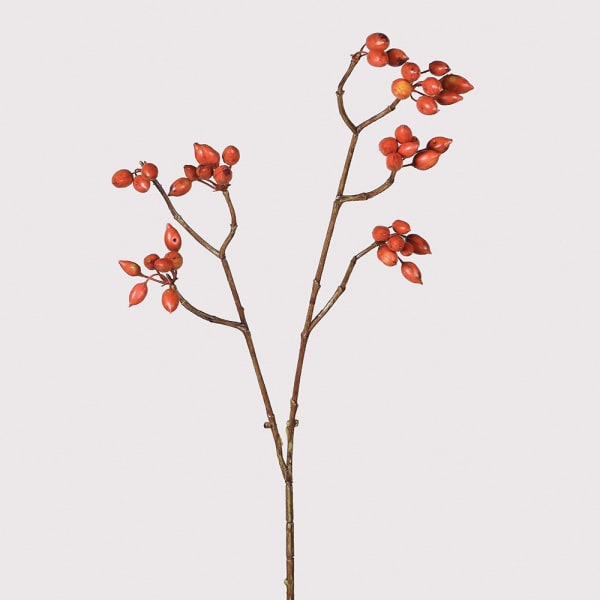 Helene Rosehip Berries Spray