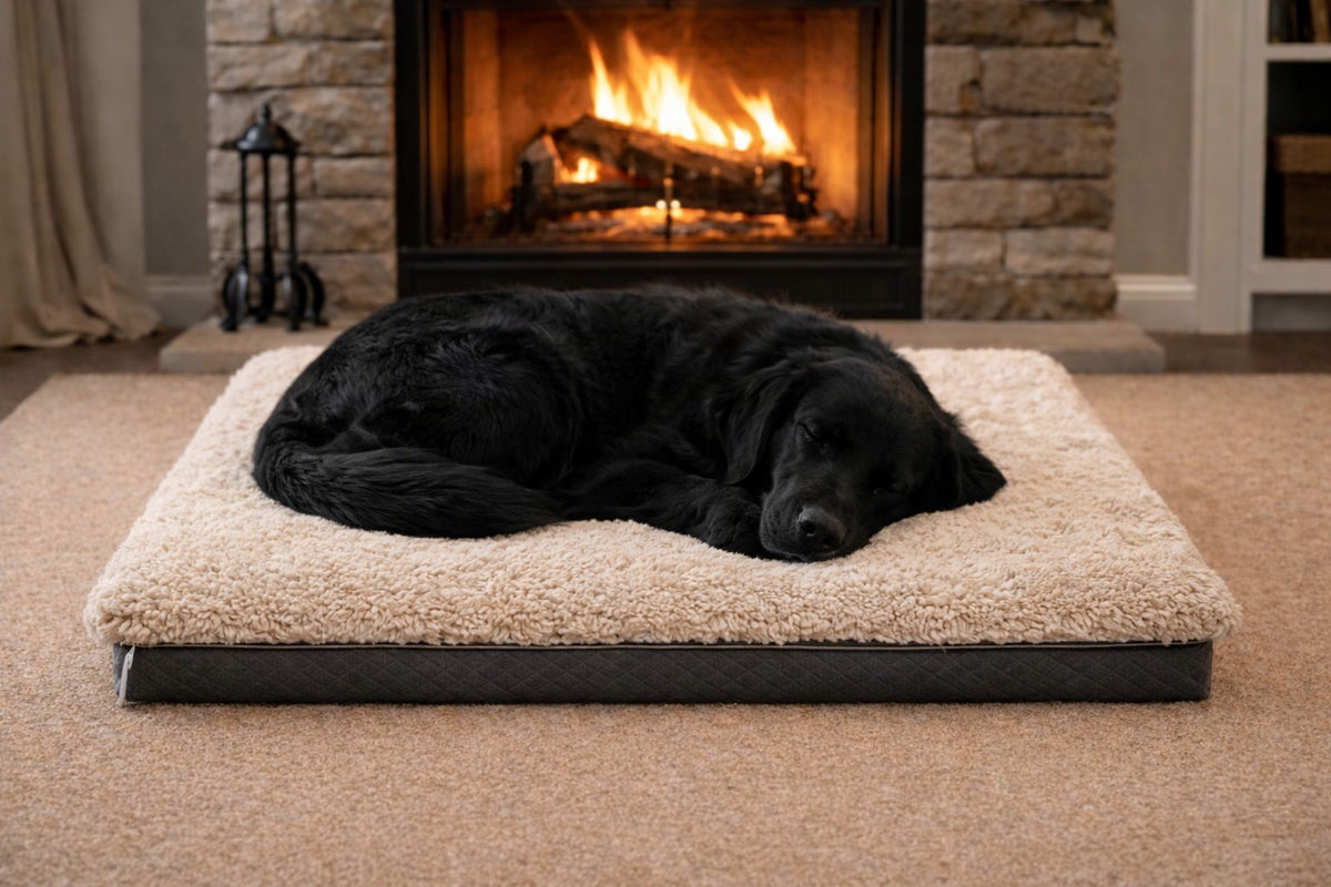 Marianne Sheepskin Short Wool Pet Bed