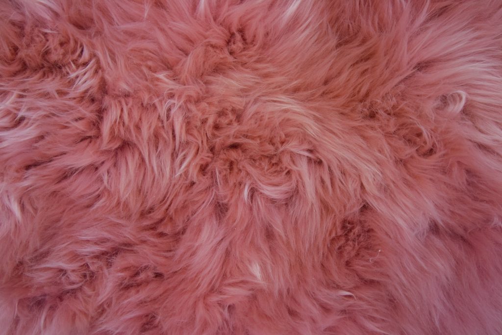 Clarisse Sheepskin Single Regular Rug (Pink)