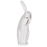 Rio Rabbit (ear down)