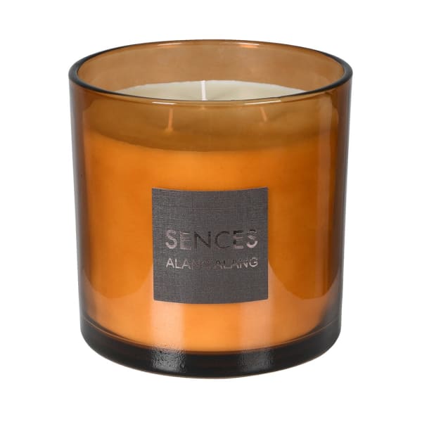 Elodie Amber Large 3 Wick Candle