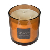 Elodie Amber Large 3 Wick Candle
