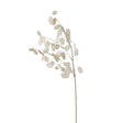Siena Clear Honesty Spray