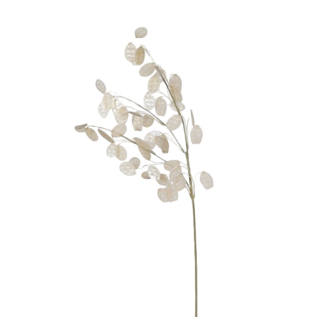 Siena Clear Honesty Spray