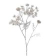 Siena Ghost White Queen Anne's Lace