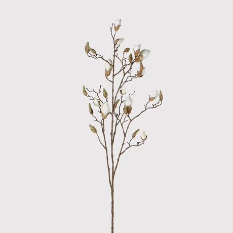 Siena Ivory Magnolia Bud Branch with Leaves