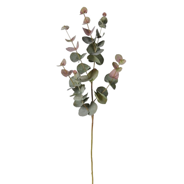 Siena Natural Blush Eucalyptus Spray