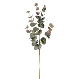 Siena Natural Blush Eucalyptus Spray