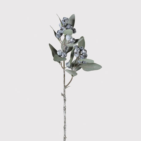 Siena Natural Eucalyptus Berry Spray