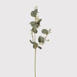 Siena Natural Eucalyptus Leaves with Seeds Spray